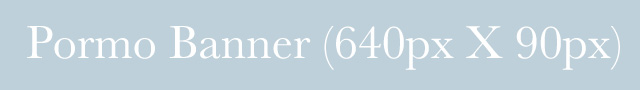 Promotion Banner